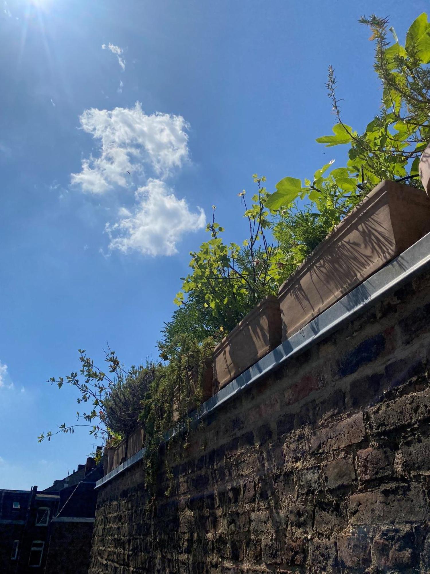 Apartamento Zehuus Mit Domblick Und Dachterrasse
