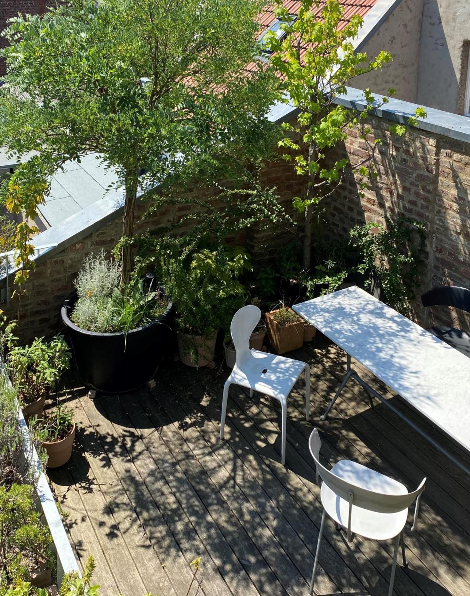 Zehuus Mit Domblick Und Dachterrasse