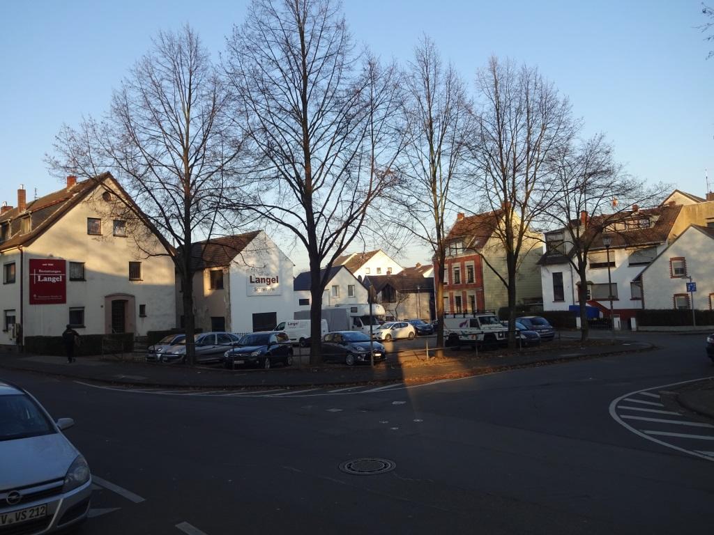 Surova Cologne