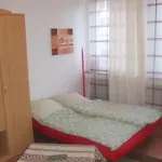City Apartment Heumarkt