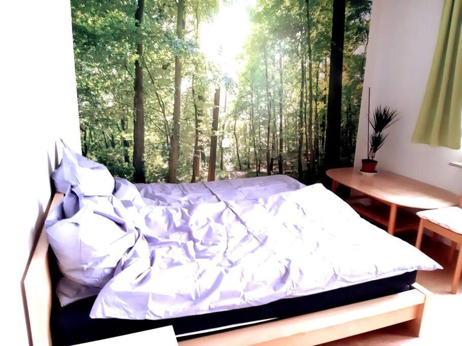Apartamento Zentral Und Doch