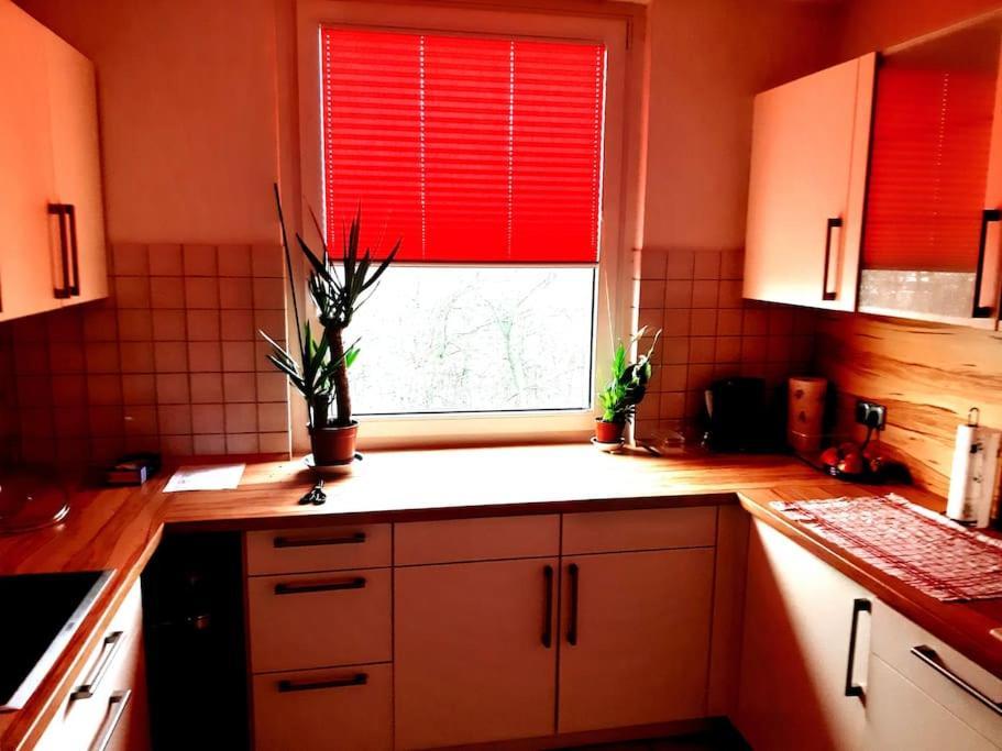 Apartamento Zentral Und Doch