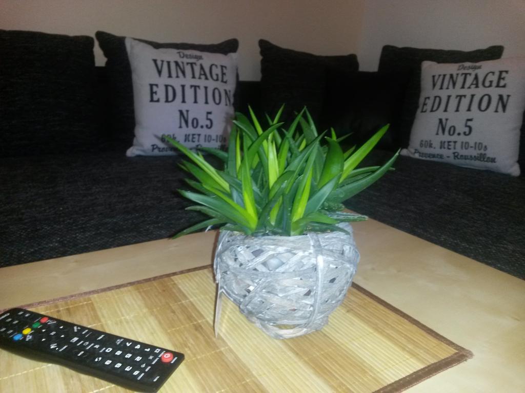 Robert's Rent A Homestay Cologne