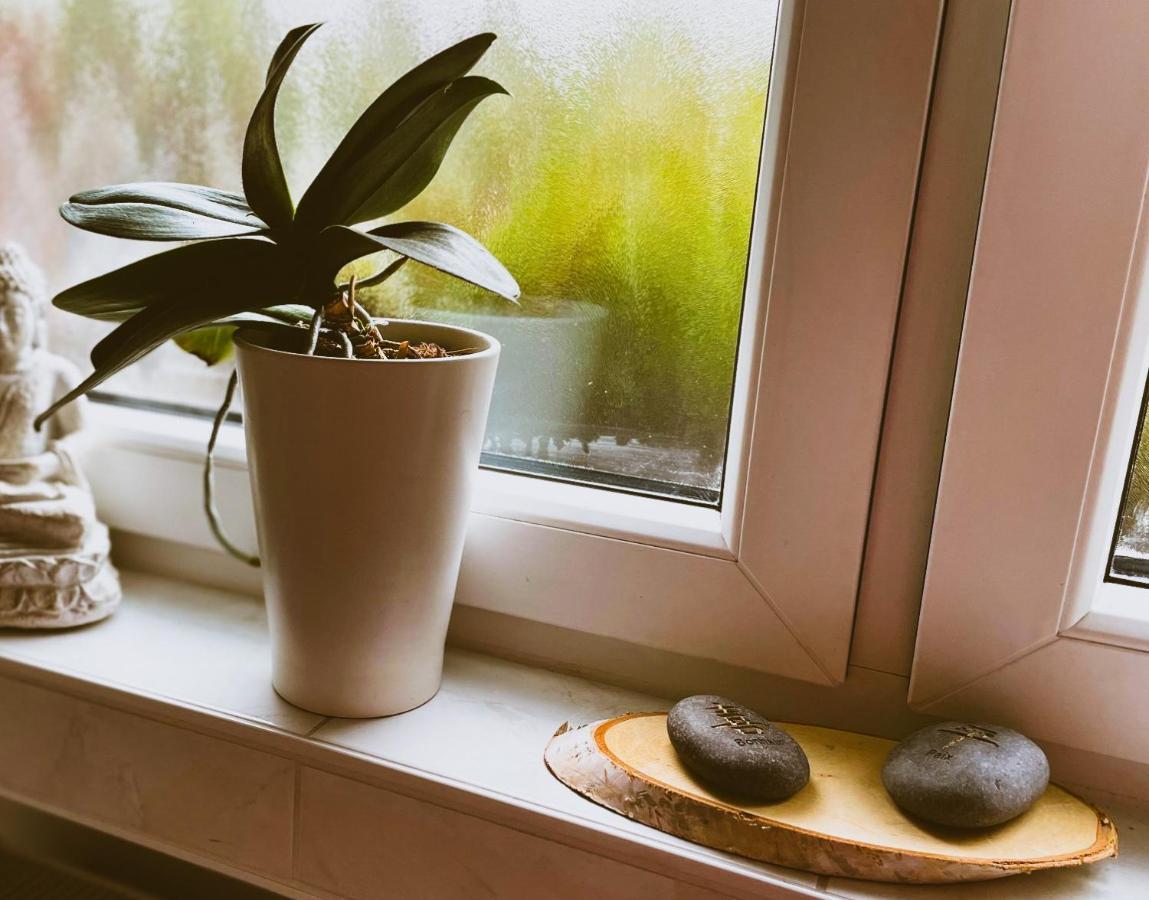 Apartament Modernes Im Gruenen - Stilvoll Und Komfortabel Kolonia