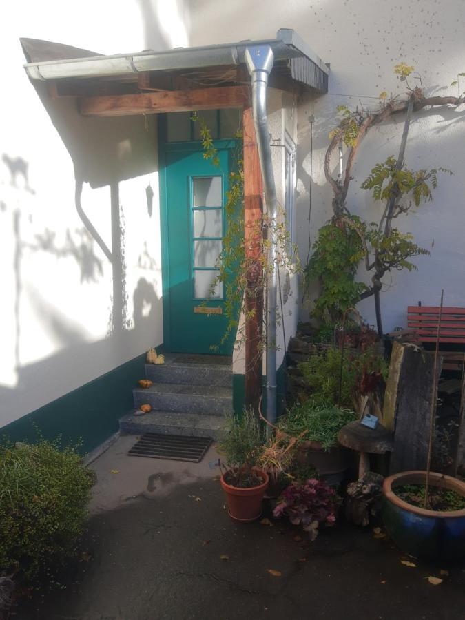 Gartenzimmer Mit Strassenbahn Zu Dom Und Messe