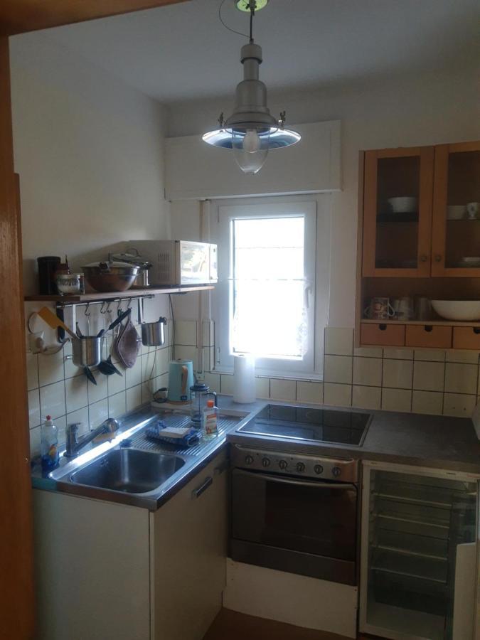 Gartenzimmer Mit Strassenbahn Zu Dom Und Messe