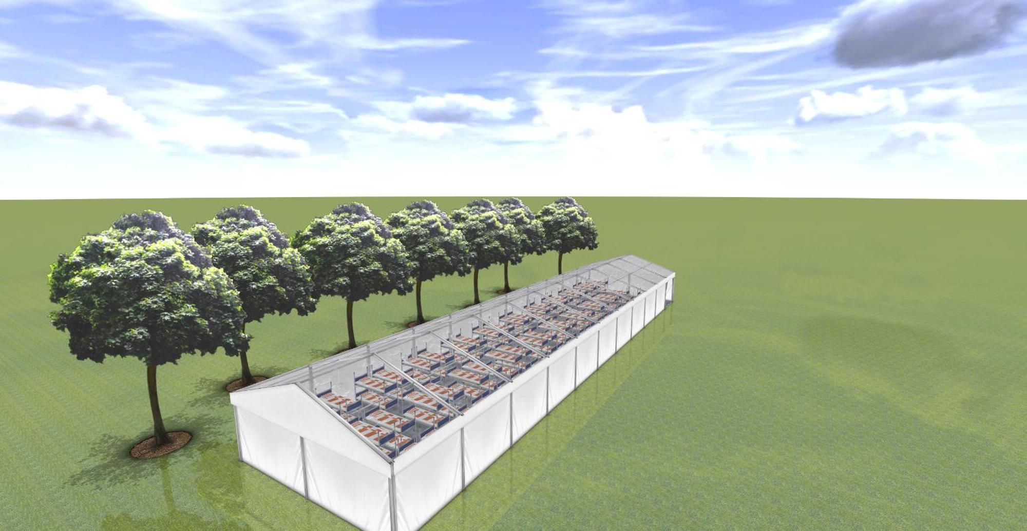Campsite Fancamp Euro 2024 European Championship 2024 - Host Cologne