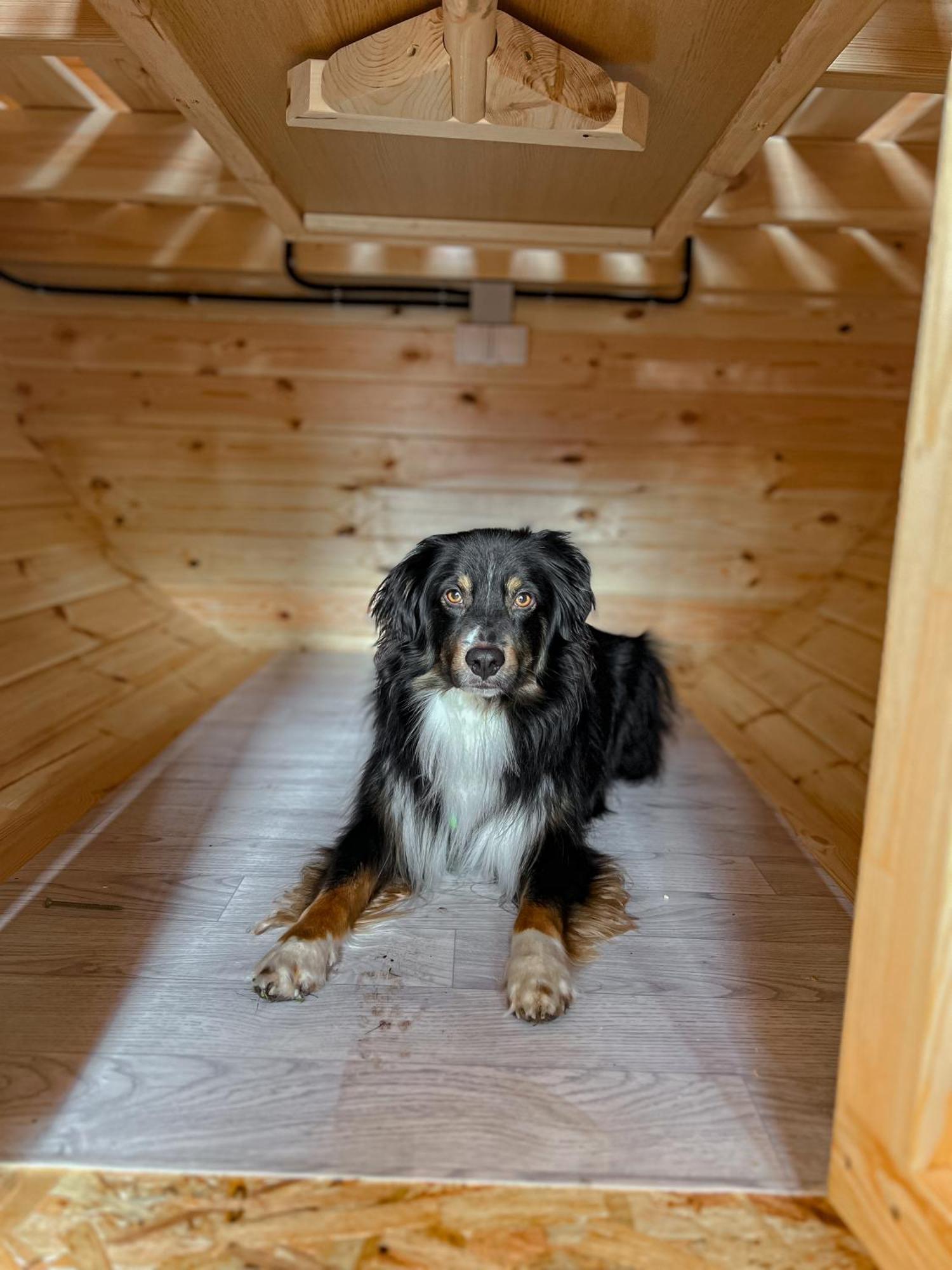 Wiesenhaus Wohnen Im Schlaffass Camping Cologne
