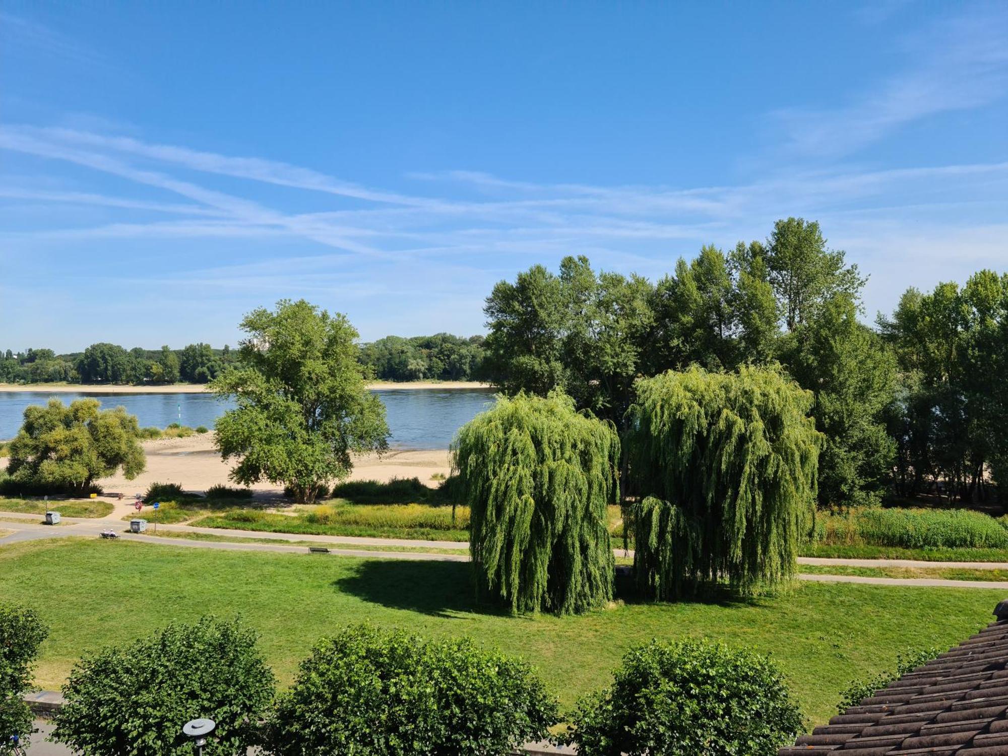 Rheinblick