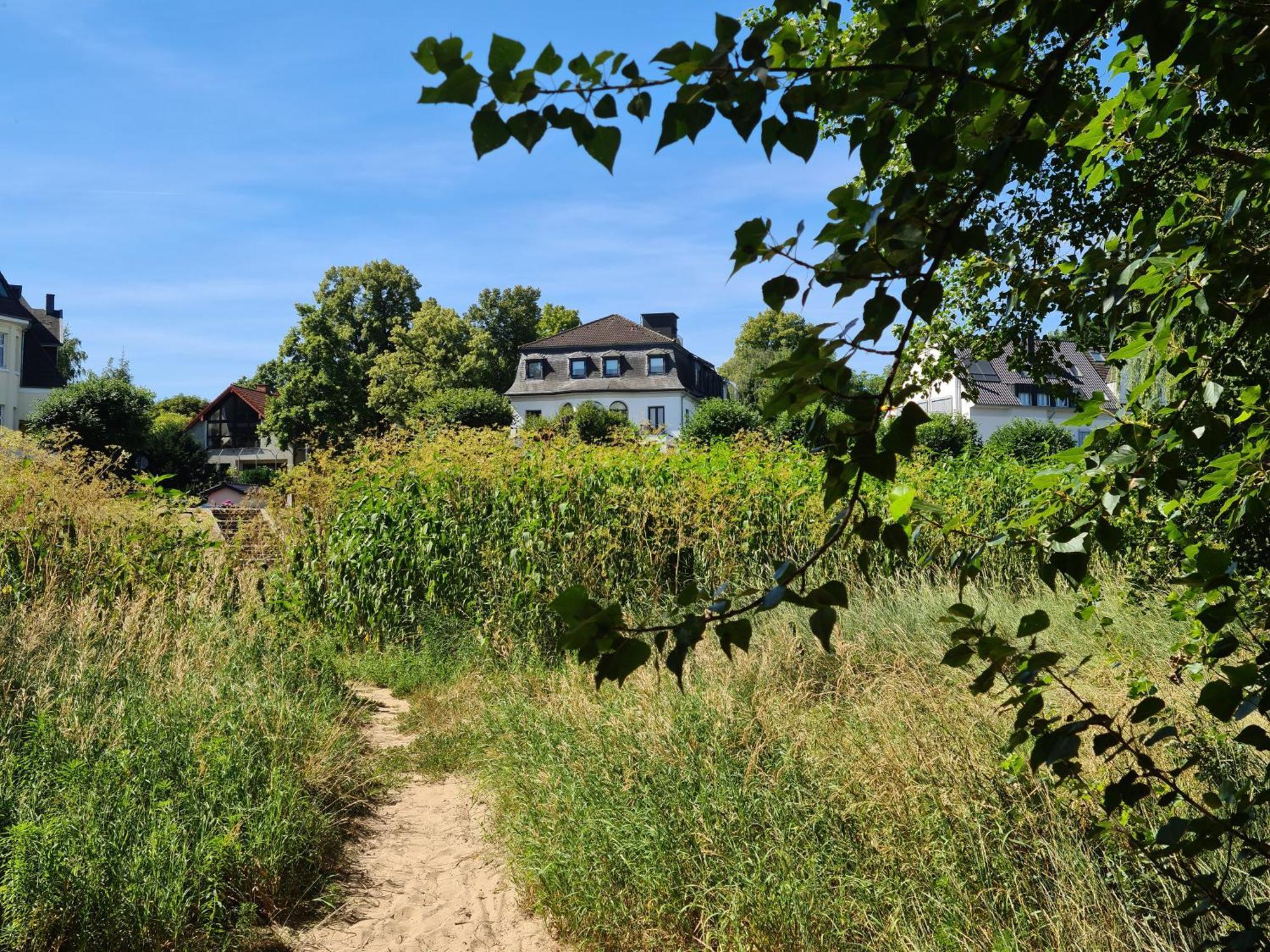 Hotel Rheinblick
