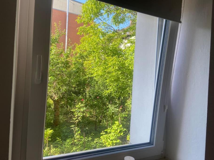 Apartamento Premium One-bedroom