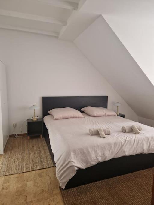 Duplex With Patio Near Exhibition Messe * Cologne