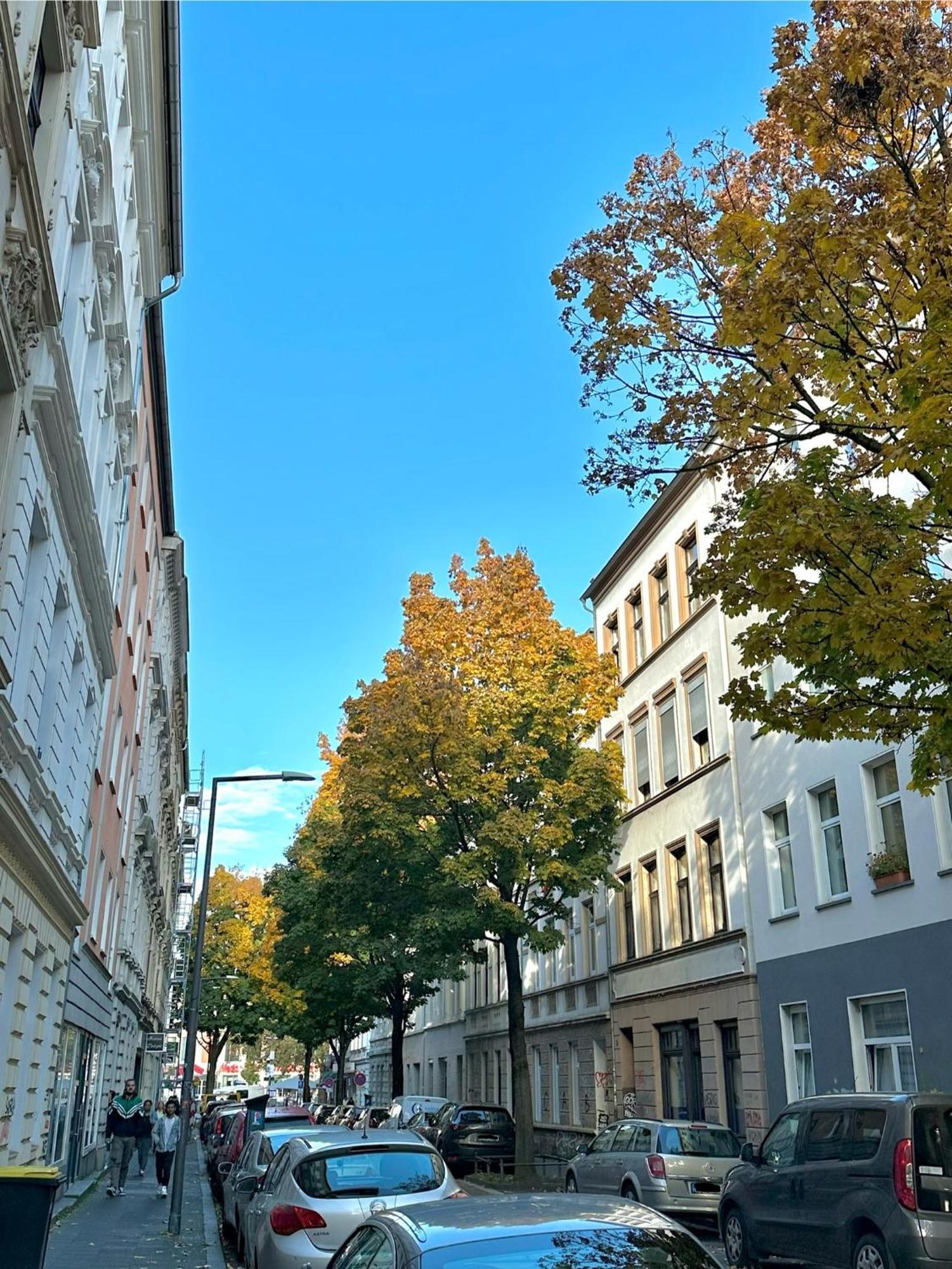 Privates City-apartement Nah Der Messe Und Lanxessarena Cologne