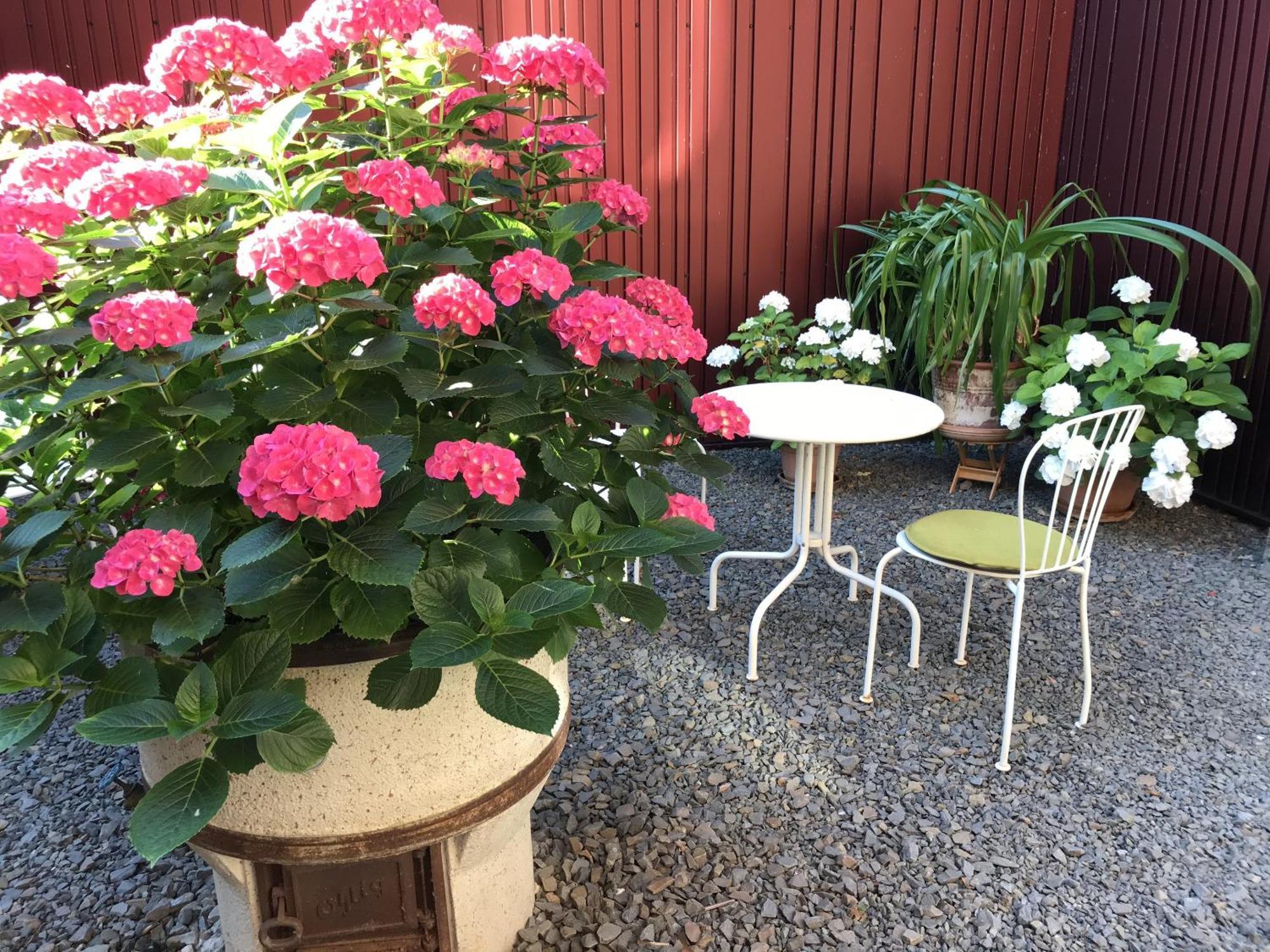 Hotel Alte Schreinerei Boutique Hotel
