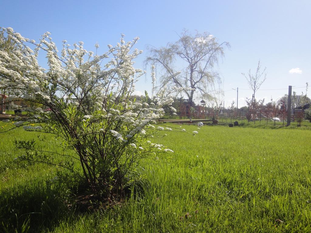 Country Colonia