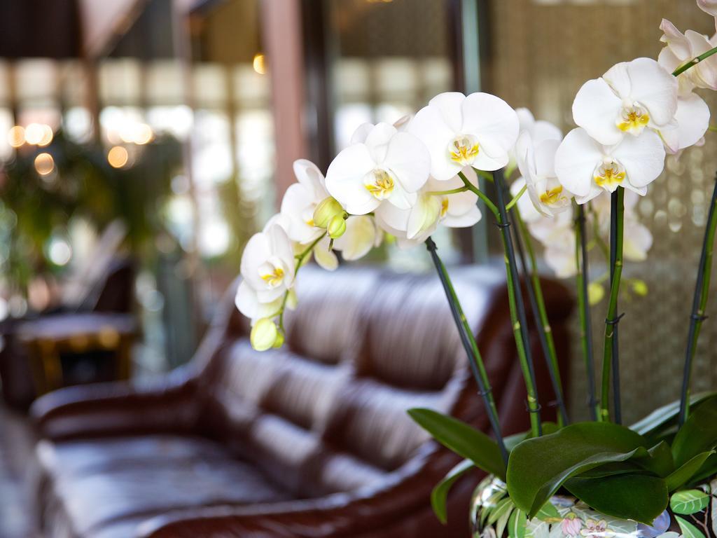 Hotel Garni Geisler