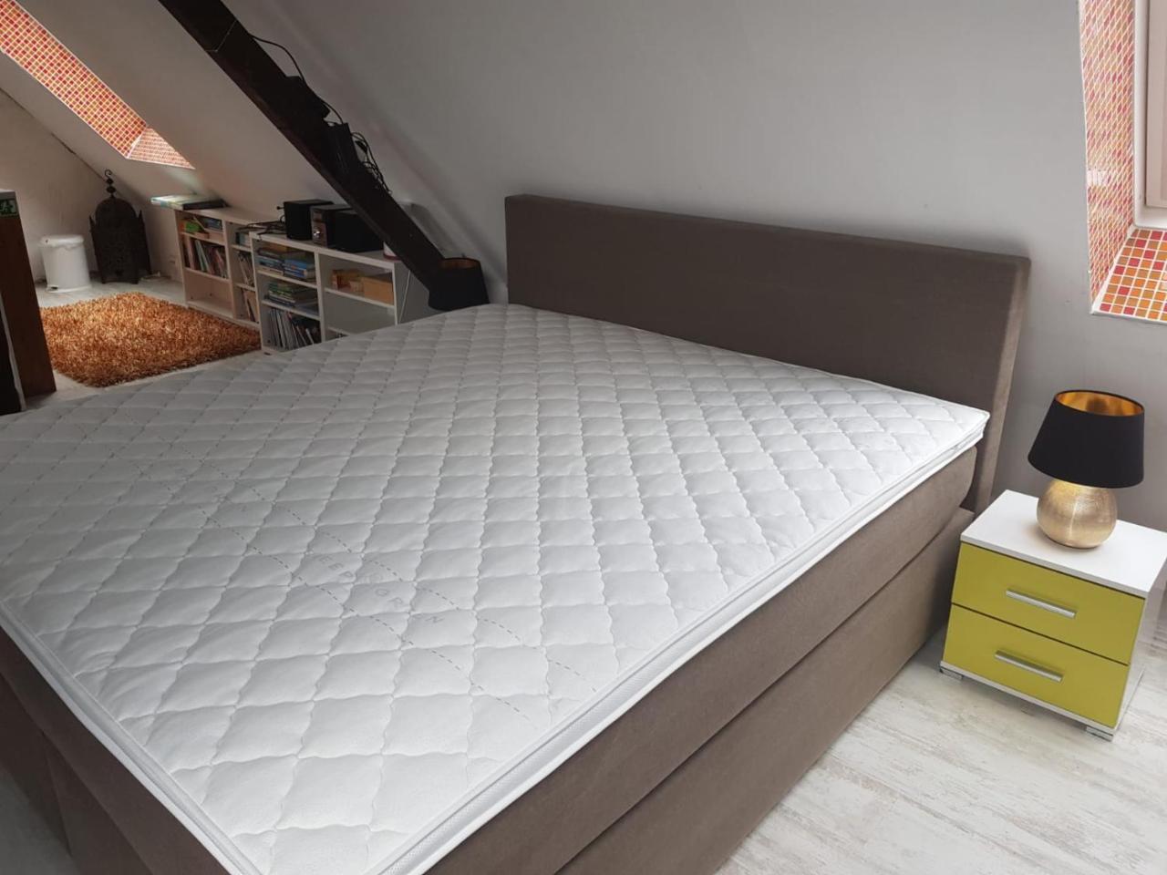 Stayincologne Bed & Breakfast 2*