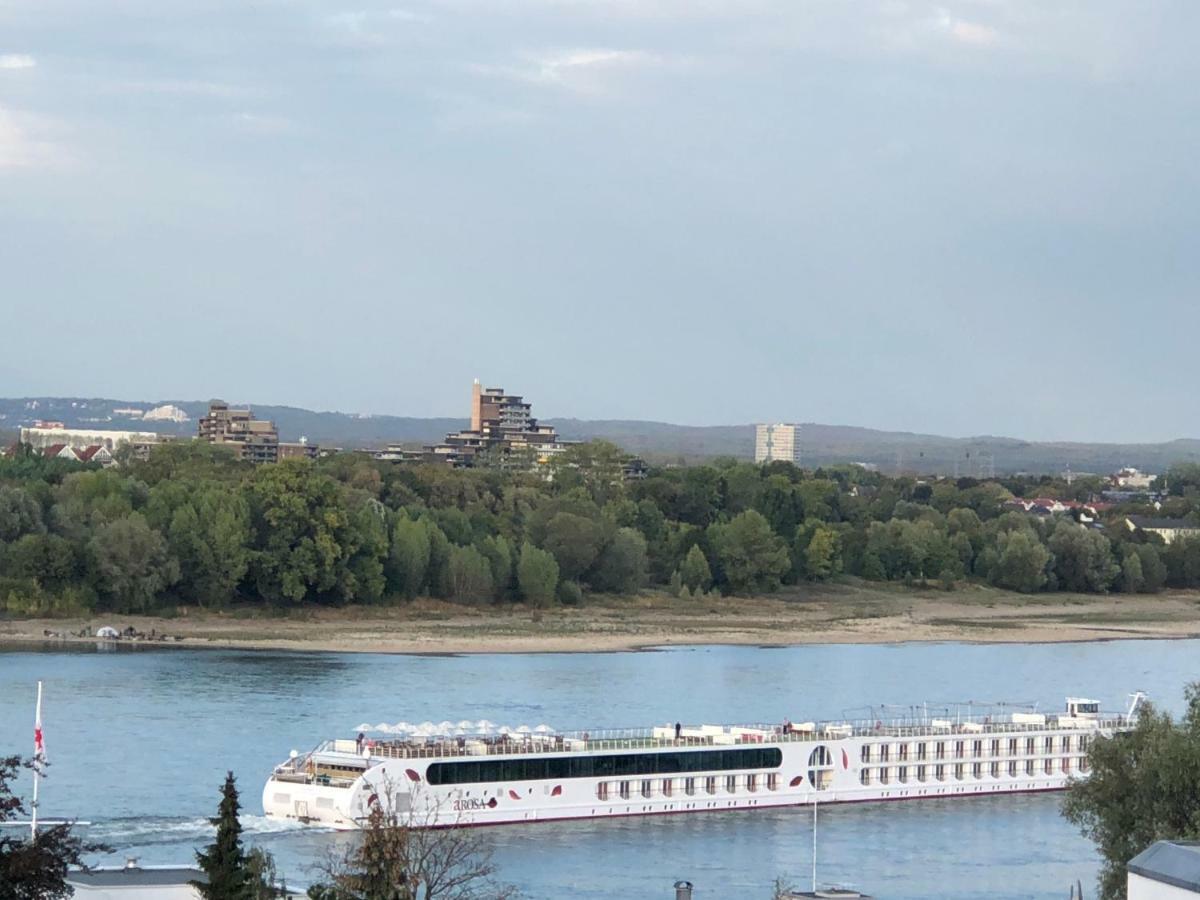 Rheinblick Sommershof