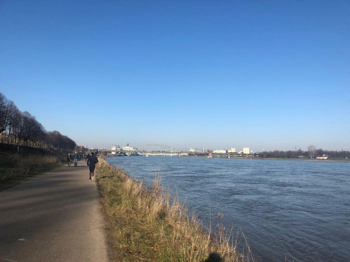 Rheinblick Sommershof