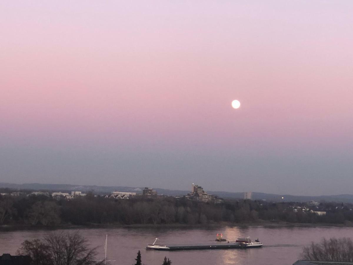 Rheinblick Sommershof Cologne