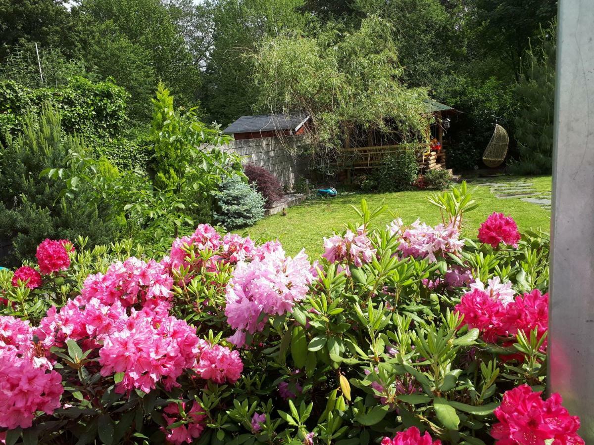 Villa-seerose Guest house Cologne