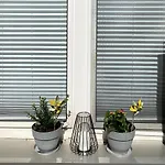 Koeln City Apartments