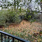 Koeln Wohnung 4 Min Naehe Von Hbf Und Dom Mit Garten ,Balkon & Office