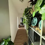 Gemuetliche Schlafcouch Im Hellen Wohnzimmer Zum Kurzaufenthalt