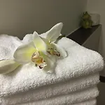 First Domizil