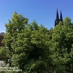 Sehr Zentrales 30 Qm Apartment
