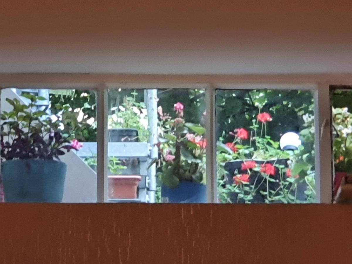 Hotel Cara Vita Cologne 3* Cologne