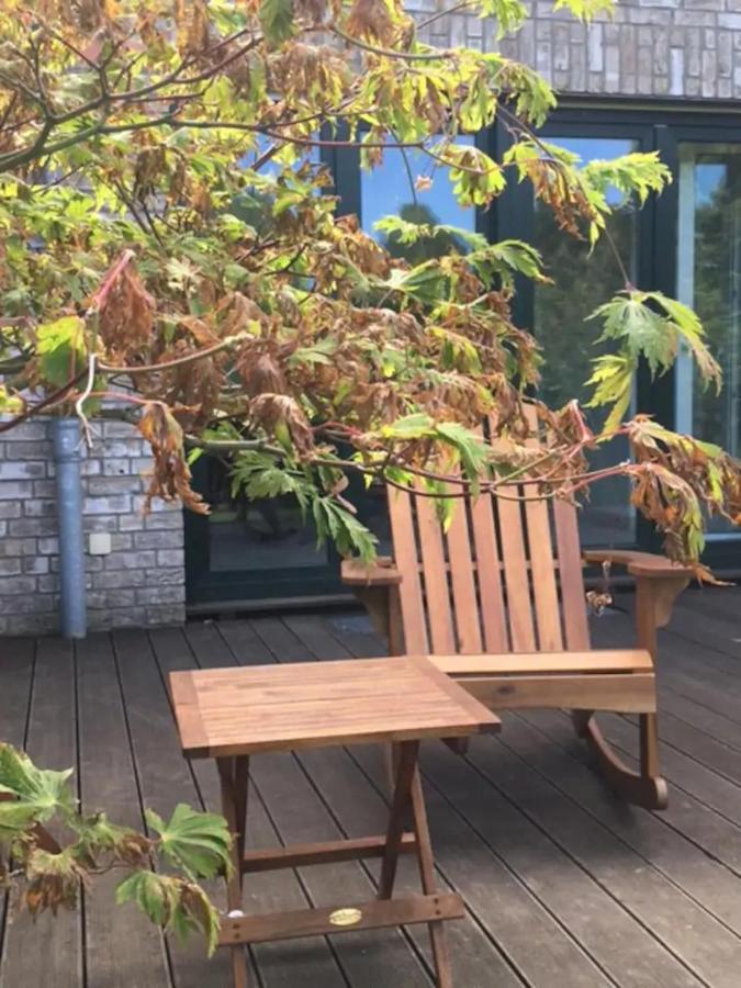 Bed & Breakfast Schoenste Lage Am Rhein In Unmittelbarer Stadtnaehe, *