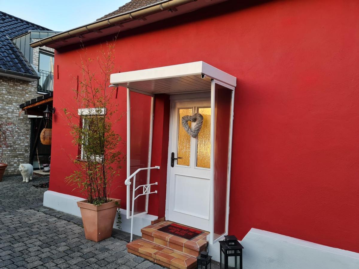 Schoenste Lage Am Rhein In Unmittelbarer Stadtnaehe, Bed & Breakfast *