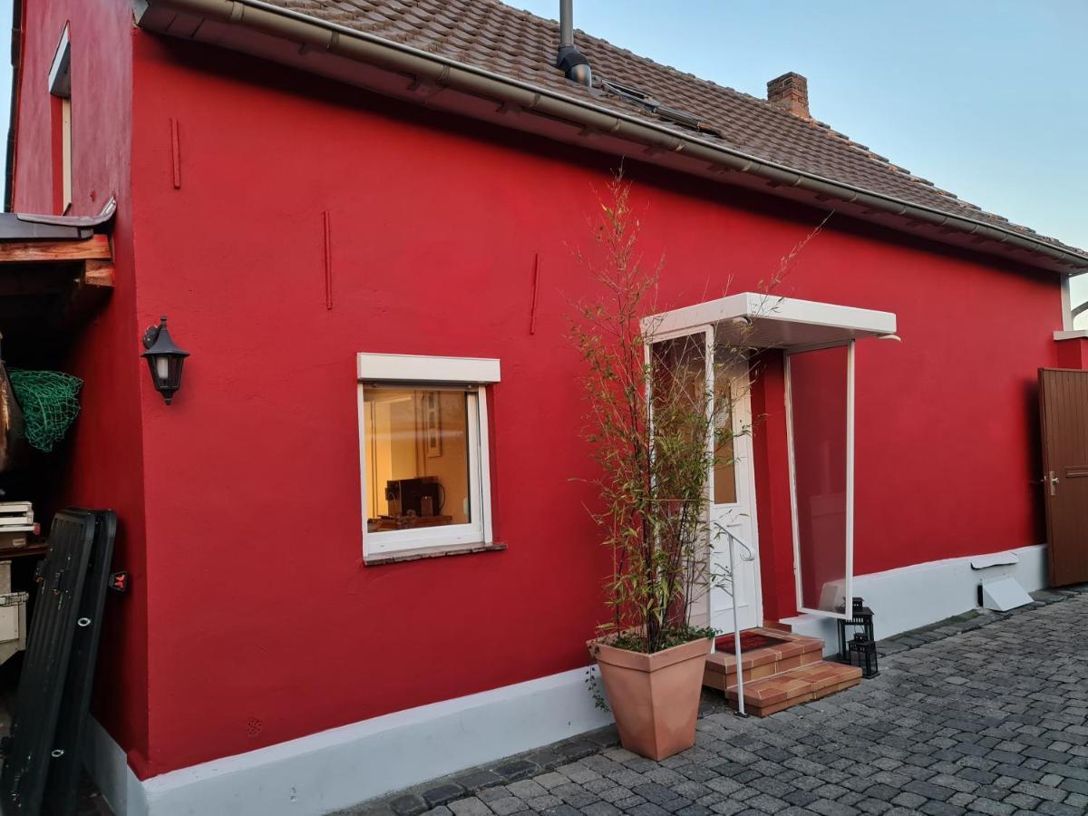 Schoenste Lage Am Rhein In Unmittelbarer Stadtnaehe, Bed & Breakfast Cologne