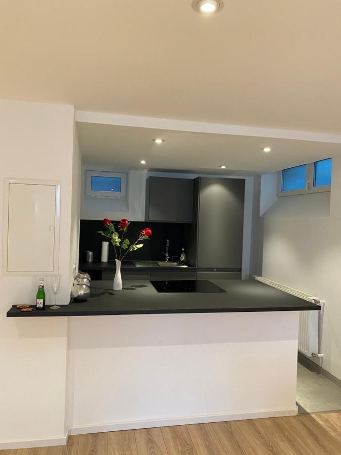 Apartment Dreamy Luxury Basement In