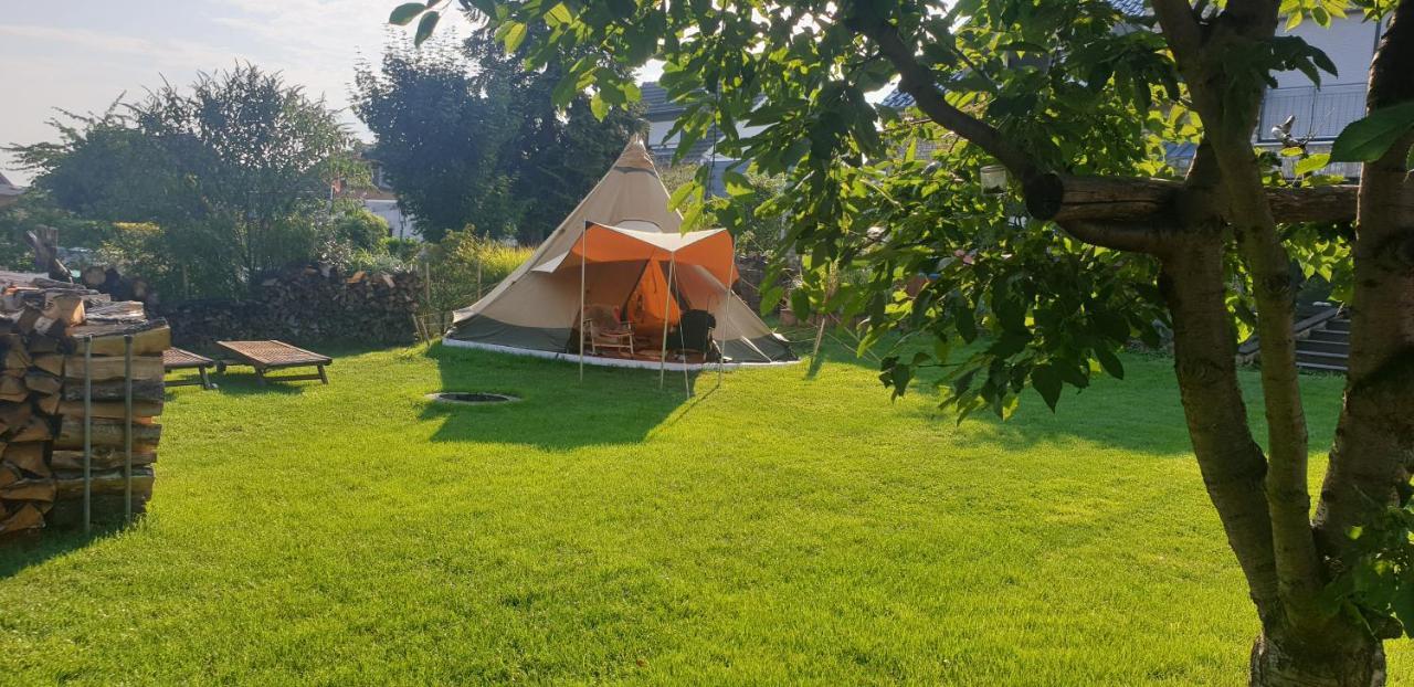 Schoenste Lage Am Rhein In Unmittelbarer Stadtnaehe, Bed & Breakfast