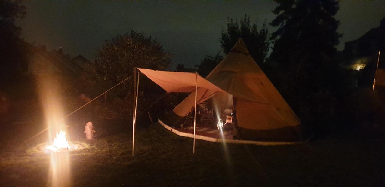Schoenste Lage Am Rhein In Unmittelbarer Stadtnaehe,