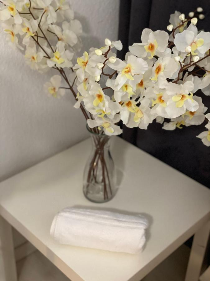 Shared Apartment, Friesenplatz Apartment Köln
