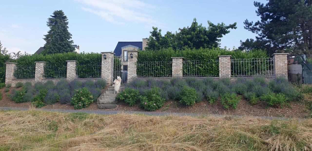 Schoenste Lage Am Rhein In Unmittelbarer Stadtnaehe, Cologne