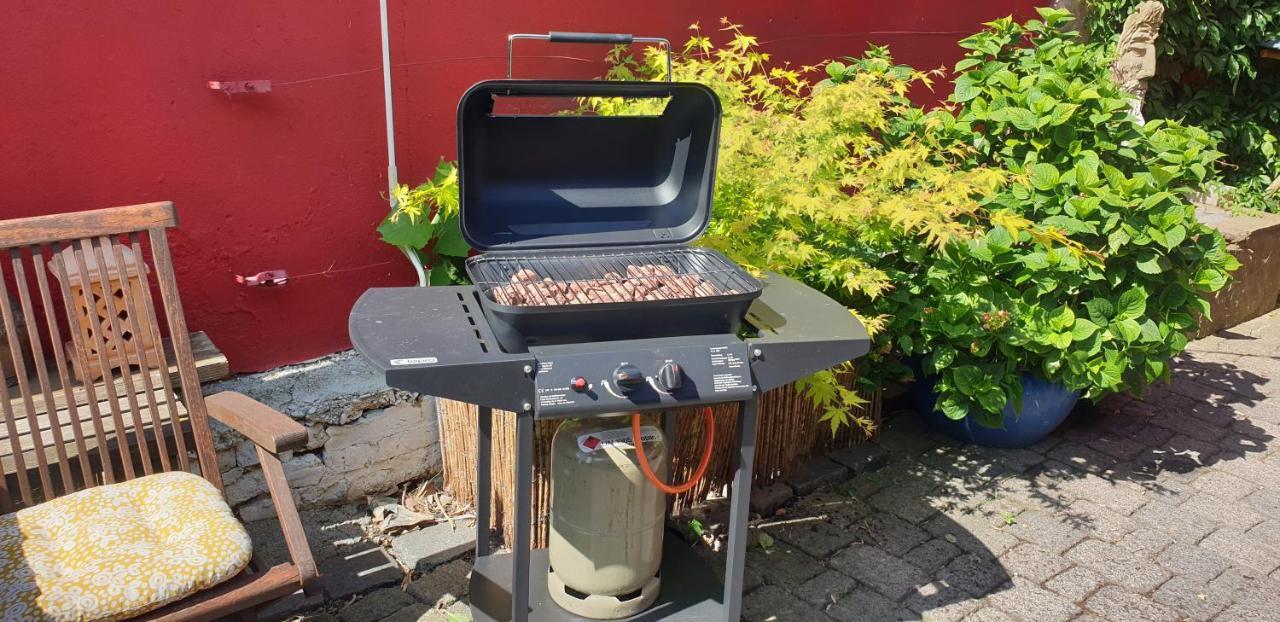 Bed & Breakfast Schoenste Lage Am Rhein In Unmittelbarer Stadtnaehe, *