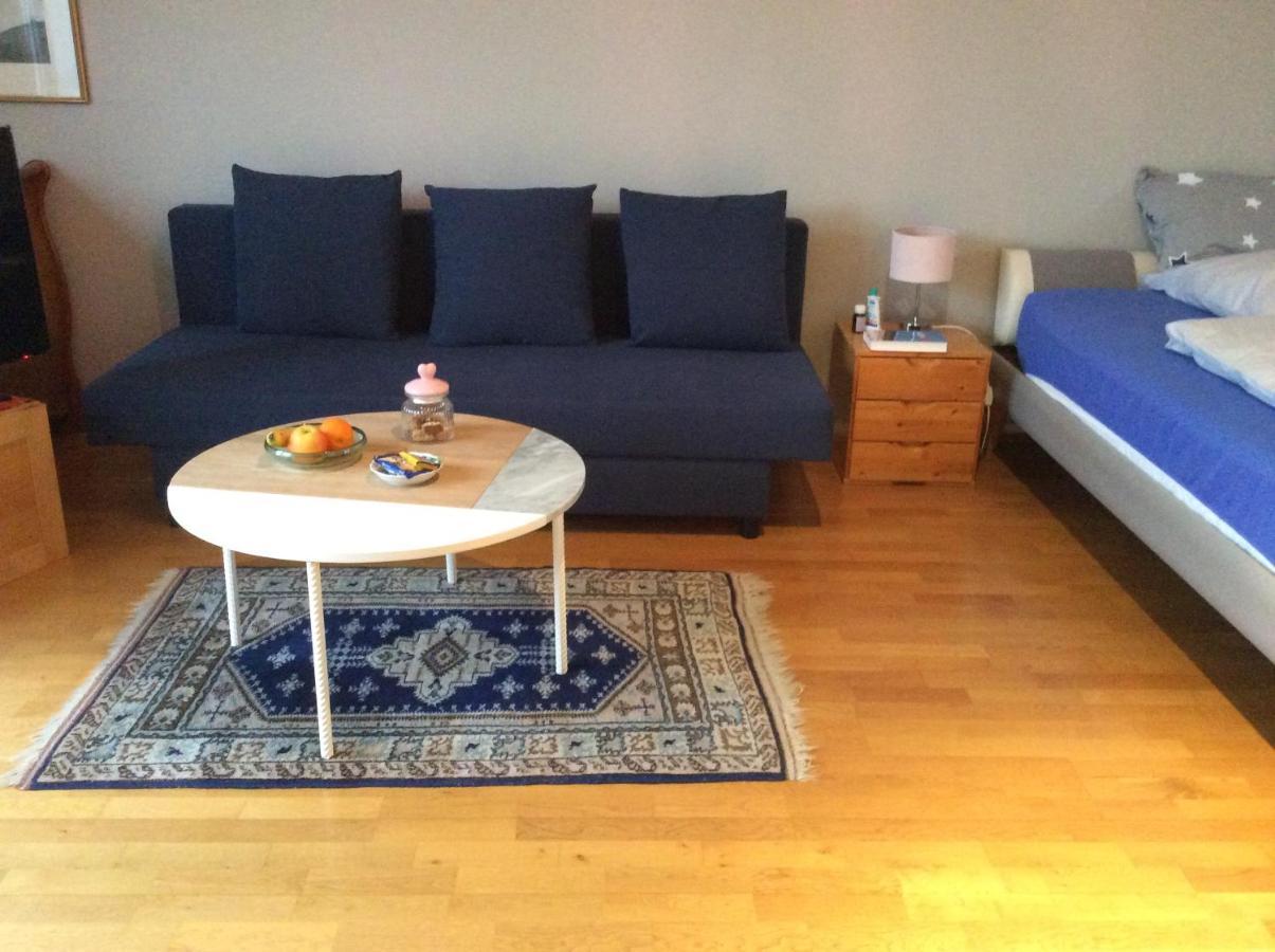 Dachstudio Mit Bad Und Terasse Homestay