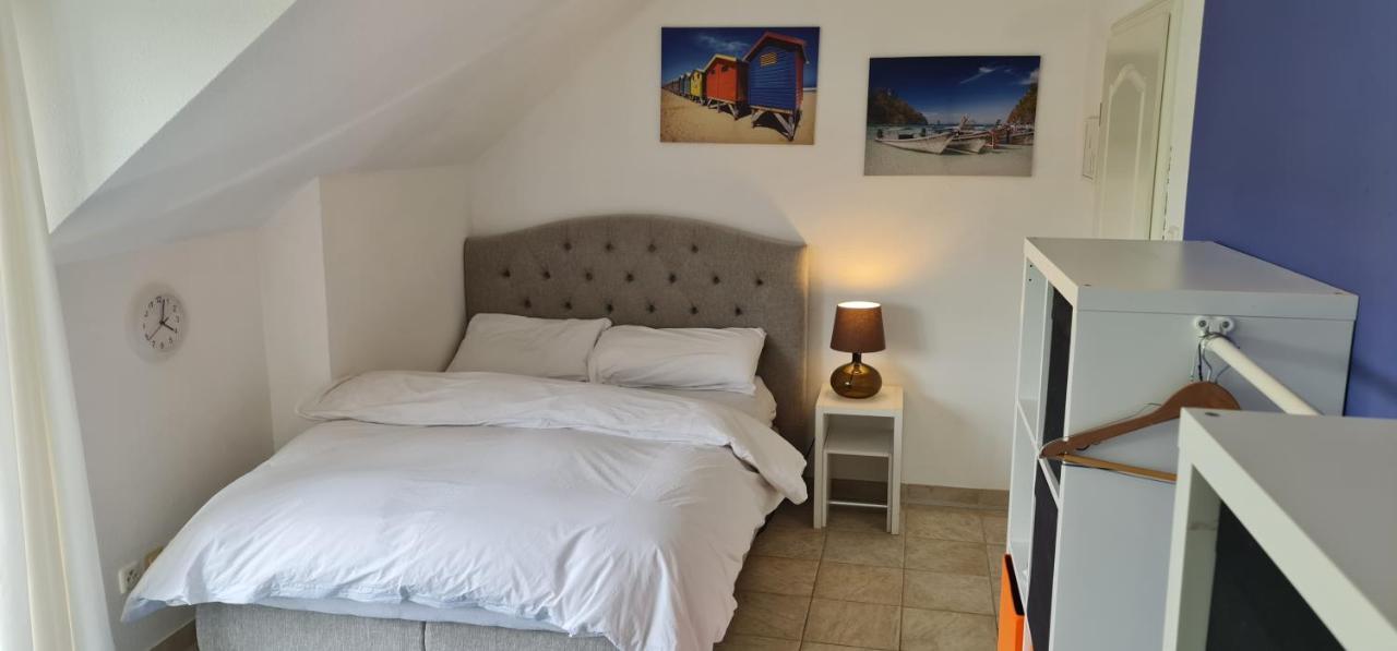 Schoenste Lage Am Rhein In Unmittelbarer Stadtnaehe,