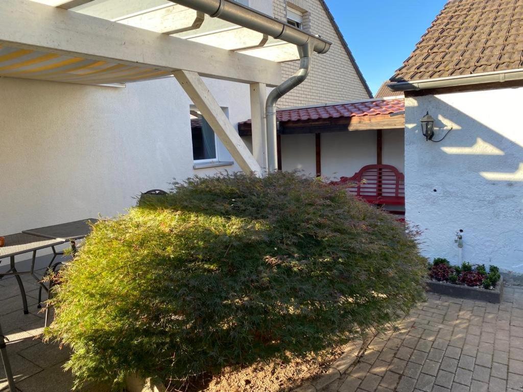 Wohnzeit-koeln Holiday home *