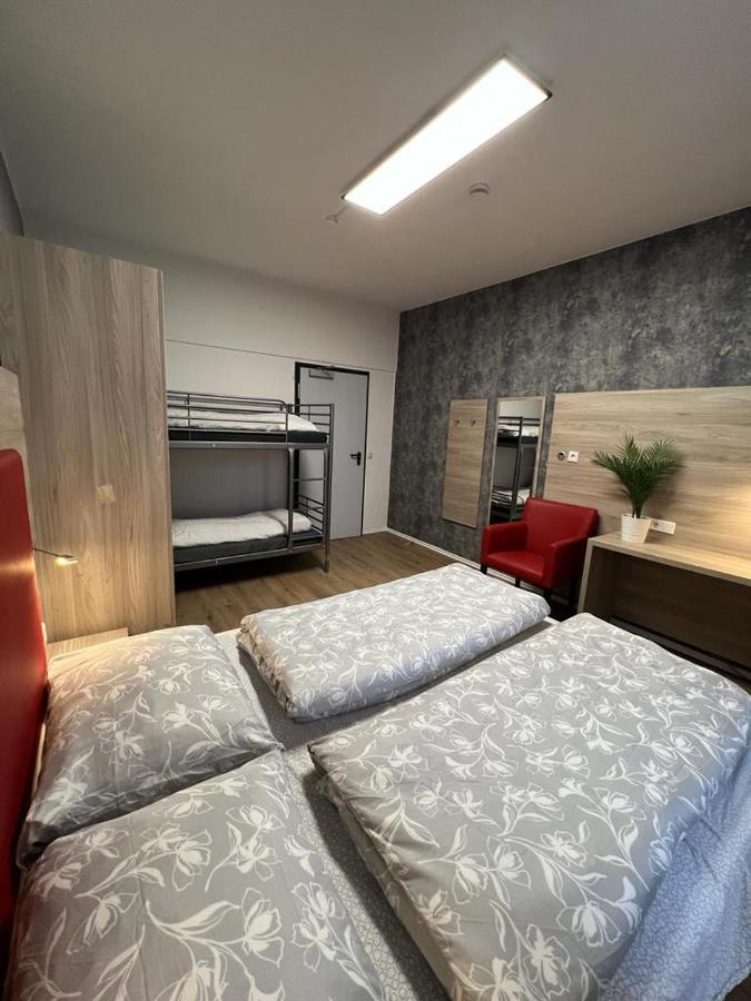 Hostel Black Sheep