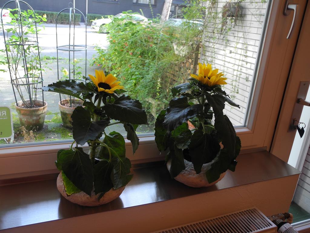 In Apartment