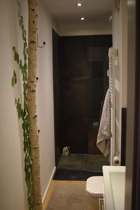 Apartment Hochwertige 4-zimmer-wohnung In Koln-sulz