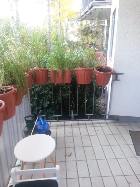Homestay Robert's Rent A Cologne
