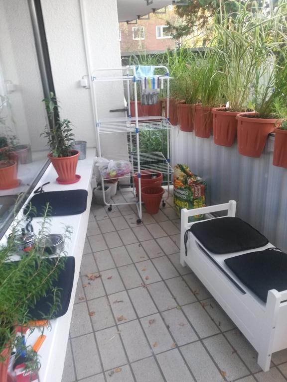 Robert's Rent A Homestay
