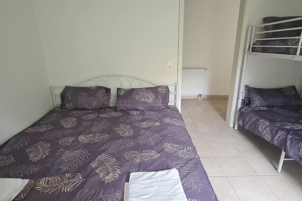 Beauty Near Messe And Airport With Garden Apartment *
