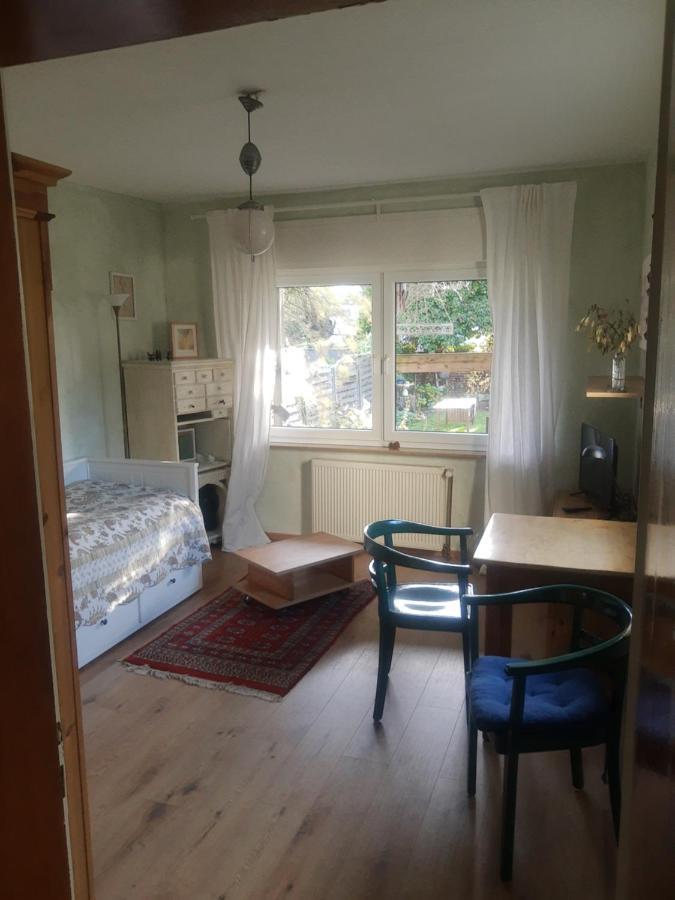 Gartenzimmer Mit Strassenbahn Zu Dom Und Messe * Colónia